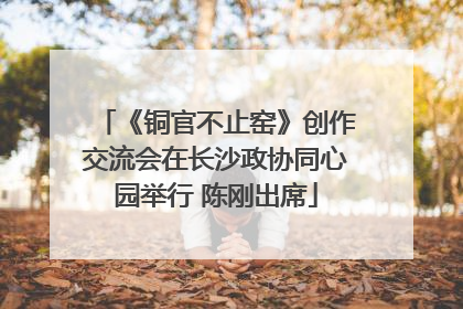 《铜官不止窑》创作交流会在长沙政协同心园举行 陈刚出席