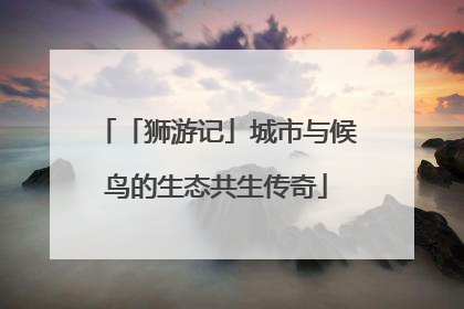 「狮游记」城市与候鸟的生态共生传奇
