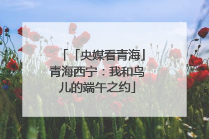 「央媒看青海」青海西宁：我和鸟儿的端午之约