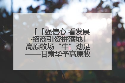 「强信心 看发展·招商引资拼落地」高原牧场“牛”劲足——甘肃华予高原牧场高标准奶牛肉牛养殖项目一线见闻