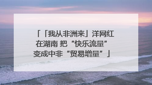 「我从非洲来」洋网红在湖南 把“快乐流量”变成中非“贸易增量”