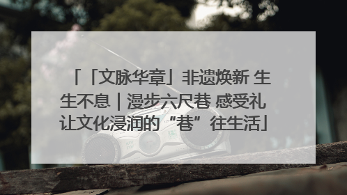 「文脉华章」非遗焕新 生生不息｜漫步六尺巷 感受礼让文化浸润的“巷”往生活