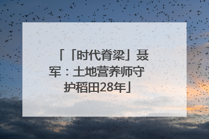 「时代脊梁」聂军：土地营养师守护稻田28年