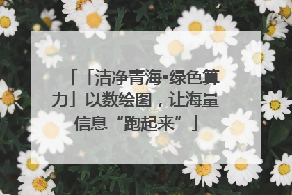 「洁净青海•绿色算力」以数绘图，让海量信息“跑起来”