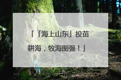 「海上山东」投苗耕海，牧海图强！