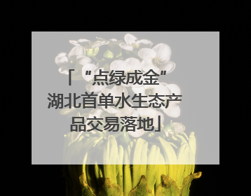 “点绿成金” 湖北首单水生态产品交易落地