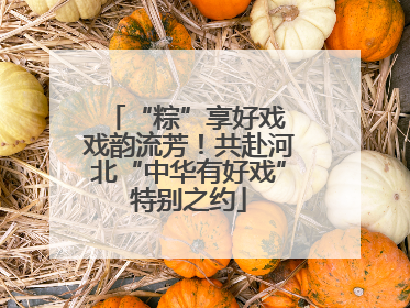 “粽”享好戏 戏韵流芳！共赴河北“中华有好戏”特别之约