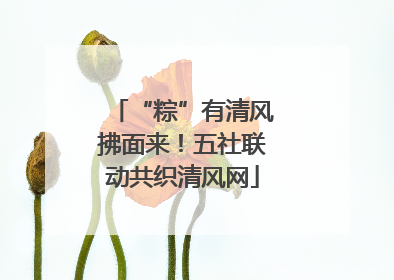 “粽”有清风拂面来！五社联动共织清风网