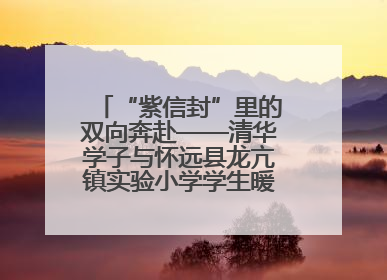 “紫信封”里的双向奔赴——清华学子与怀远县龙亢镇实验小学学生暖心书信之约