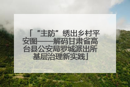 “主防”绣出乡村平安图——解码甘肃省高台县公安局罗城派出所基层治理新实践
