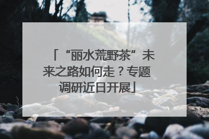 “丽水荒野茶”未来之路如何走？专题调研近日开展