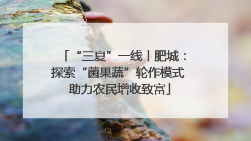 “三夏”一线丨肥城：探索“菌果蔬”轮作模式 助力农民增收致富