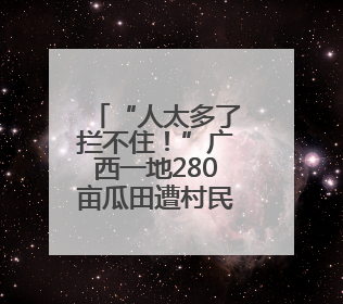 “人太多了拦不住！”广西一地280亩瓜田遭村民哄抢，瓜农哭诉