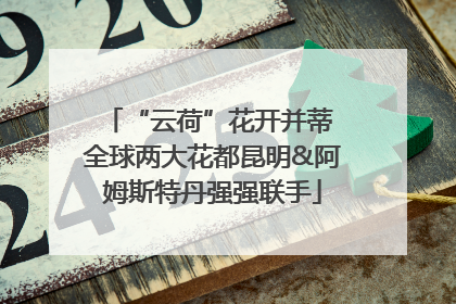 “云荷”花开并蒂 全球两大花都昆明&阿姆斯特丹强强联手