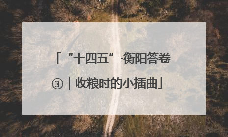 “十四五”·衡阳答卷③｜收粮时的小插曲