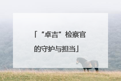 “卓吉”检察官的守护与担当