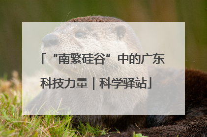 “南繁硅谷”中的广东科技力量｜科学驿站