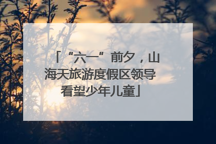 “六一”前夕，山海天旅游度假区领导看望少年儿童