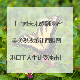 “对未来感到迷茫” 美关税政策让西雅图港口工人生计受冲击