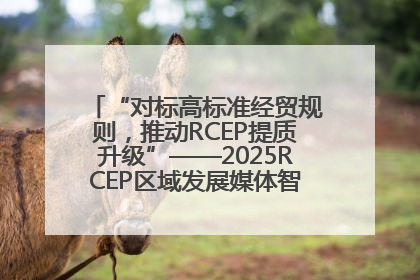 “对标高标准经贸规则，推动RCEP提质升级”——2025RCEP区域发展媒体智库论坛举行专题对话