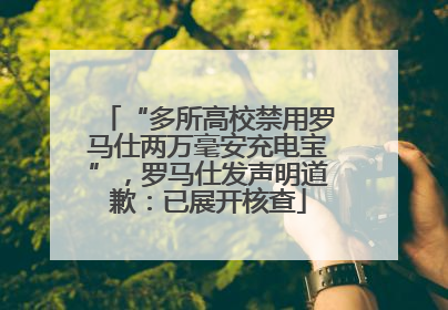 “多所高校禁用罗马仕两万毫安充电宝”，罗马仕发声明道歉：已展开核查