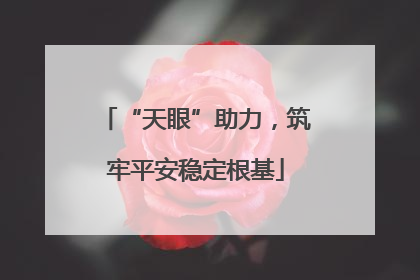 “天眼”助力，筑牢平安稳定根基