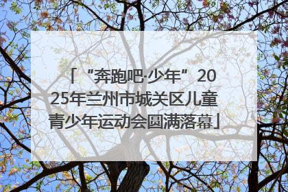 “奔跑吧·少年”2025年兰州市城关区儿童青少年运动会圆满落幕