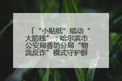“小贴纸”撬动“大防线”：哈尔滨市公安局香坊分局“物流反诈”模式守护群众“钱袋子”