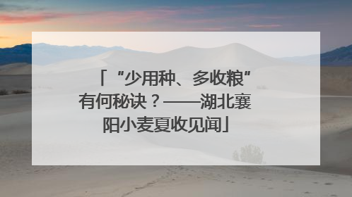 “少用种、多收粮”有何秘诀？——湖北襄阳小麦夏收见闻