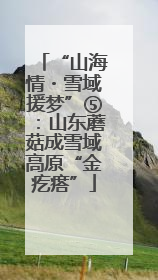 “山海情・雪域援梦”⑤：山东蘑菇成雪域高原“金疙瘩”