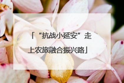 “抗战小延安”走上农旅融合振兴路