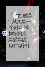 “招财猫”其实是一个熨斗 博物馆回应：是猫是虎，见仁见智