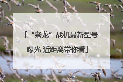 “枭龙”战机最新型号曝光 近距离带你看