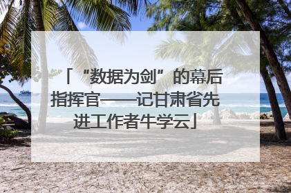 “数据为剑”的幕后指挥官——记甘肃省先进工作者牛学云