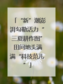 “新”潮澎湃勾勒活力“三夏耕作图” 田间地头满满“科技范儿”