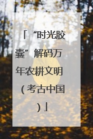 “时光胶囊”解码万年农耕文明（考古中国）