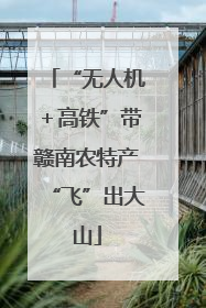 “无人机＋高铁”带赣南农特产“飞”出大山