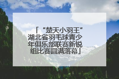 “楚天小羽王”湖北省羽毛球青少年俱乐部联赛新锐组比赛圆满落幕