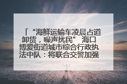 “海鲜运输车凌晨占道卸货，噪声扰民” 海口博爱街道城市综合行政执法中队：将联合交警加强长堤路一带巡逻