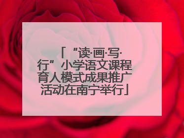 “读·画·写·行”小学语文课程育人模式成果推广活动在南宁举行