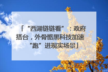 “西湖链链看”：政府搭台，外骨骼黑科技加速“跑”进现实场景