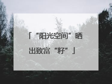 “阳光空间”晒出致富“籽”