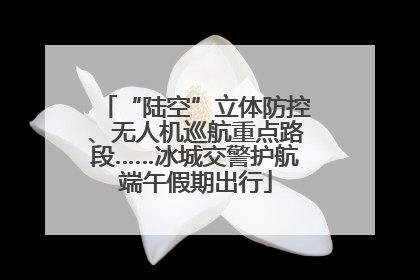 “陆空”立体防控、无人机巡航重点路段……冰城交警护航端午假期出行