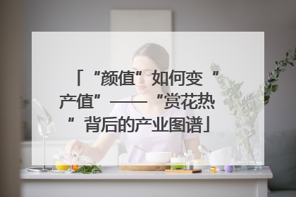 “颜值”如何变“产值”——“赏花热”背后的产业图谱
