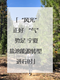 “风光” 正好 “气” 势足 宁夏盐池能源转型进行时