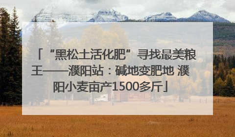 “黑松土活化肥”寻找最美粮王——濮阳站：碱地变肥地 濮阳小麦亩产1500多斤