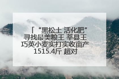 “黑松土 活化肥”寻找最美粮王 莘县王巧英小麦实打实收亩产1515.4斤 超对照田144斤！