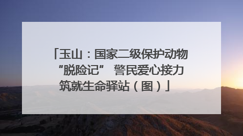 玉山：国家二级保护动物“脱险记” 警民爱心接力筑就生命驿站（图）