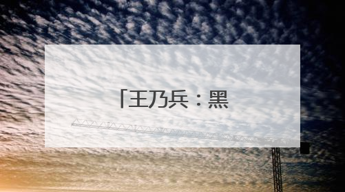 王乃兵：黑土地上“种”出红火日子