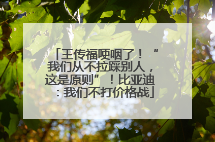王传福哽咽了！“我们从不拉踩别人，这是原则”！比亚迪：我们不打价格战